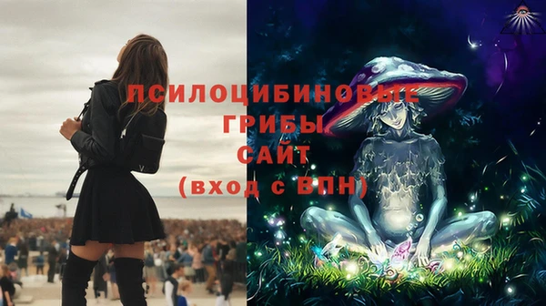 мескалин Белокуриха