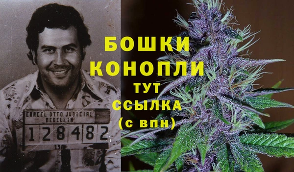 мескалин Белокуриха